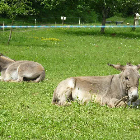 D'hotes Domaine La Fagette (adults Only) Bed & Breakfast
